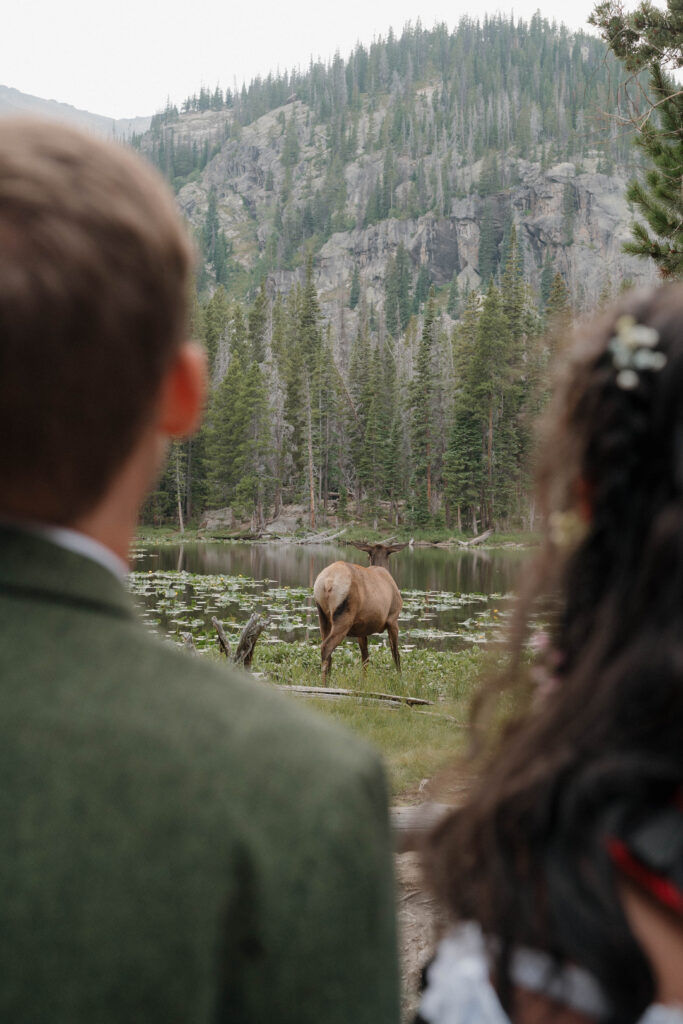 Couple celebrating their Colorado elopement at Dream Lake

